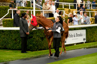 _CAB0483
