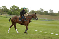 Four Quarters Orange v Ferne Park  in a Dollar Cup Polo match 2013.05.13