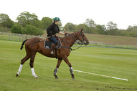 Four Quarters Orange v Ferne Park  in a Dollar Cup Polo match 2013.05.13