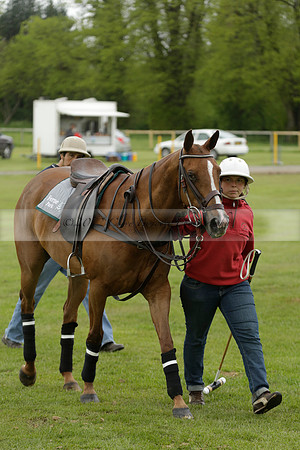 Four Quarters Orange v Ferne Park  in a Dollar Cup Polo match 2013.05.13