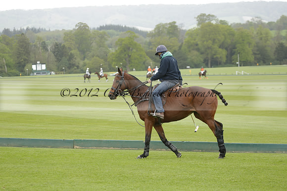 Four Quarters Orange v Ferne Park  in a Dollar Cup Polo match 2013.05.13