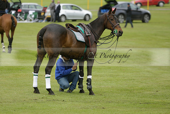 Four Quarters Orange v Ferne Park  in a Dollar Cup Polo match 2013.05.13