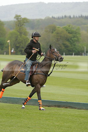 Four Quarters Orange v Ferne Park  in a Dollar Cup Polo match 2013.05.13