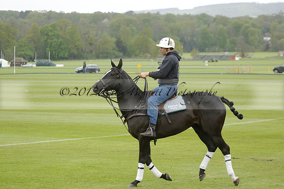Four Quarters Orange v Ferne Park  in a Dollar Cup Polo match 2013.05.13