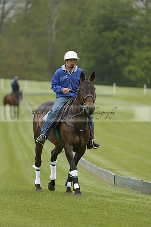 Four Quarters Orange v Ferne Park  in a Dollar Cup Polo match 2013.05.13