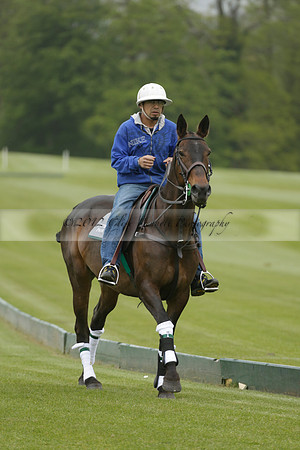 Four Quarters Orange v Ferne Park  in a Dollar Cup Polo match 2013.05.13