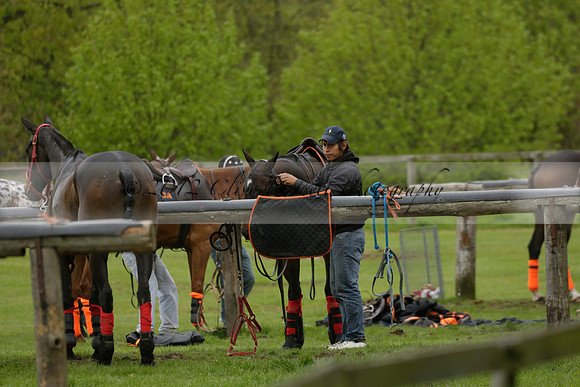 Four Quarters Orange v Ferne Park  in a Dollar Cup Polo match 2013.05.13