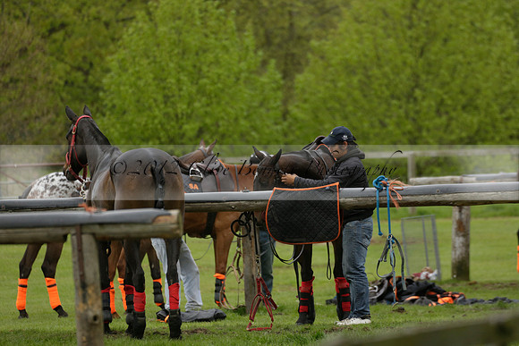 Four Quarters Orange v Ferne Park  in a Dollar Cup Polo match 2013.05.13