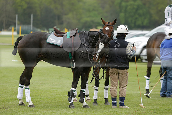 Four Quarters Orange v Ferne Park  in a Dollar Cup Polo match 2013.05.13