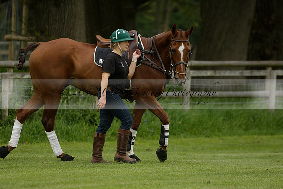 Four Quarters Orange v Ferne Park  in a Dollar Cup Polo match 2013.05.13