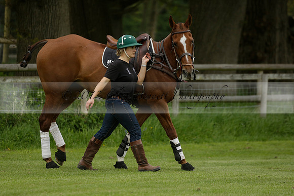 Four Quarters Orange v Ferne Park  in a Dollar Cup Polo match 2013.05.13