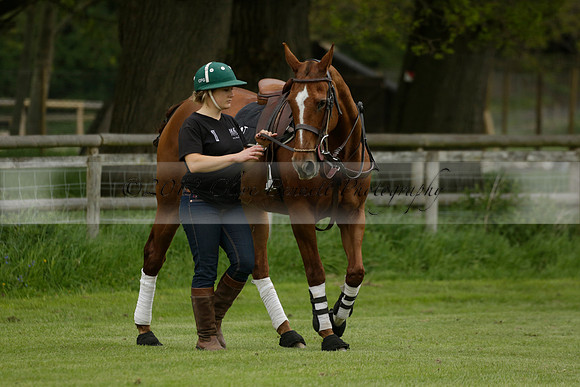 Four Quarters Orange v Ferne Park  in a Dollar Cup Polo match 2013.05.13