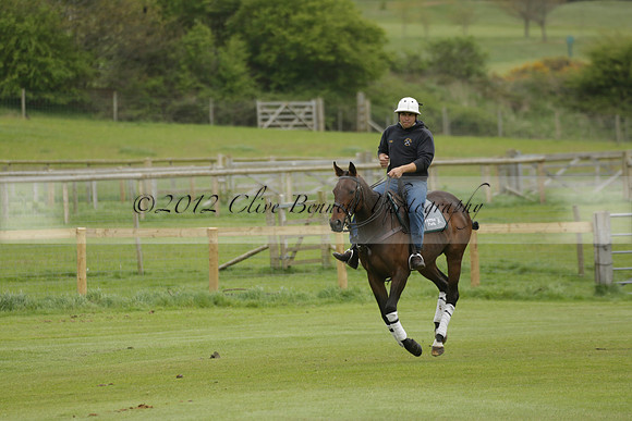 Four Quarters Orange v Ferne Park  in a Dollar Cup Polo match 2013.05.13
