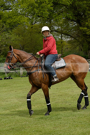 Four Quarters Orange v Ferne Park  in a Dollar Cup Polo match 2013.05.13