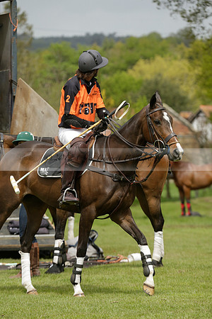 Four Quarters Orange v Ferne Park  in a Dollar Cup Polo match 2013.05.13