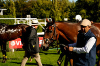 Race 5 The Virgin Bet Handicap Stakes 2026.09.08