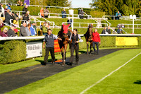 Race 6 The Virgin Bet Supports Safe Gambling Handicap Stakes 2026.09.08