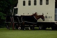 Black Eagles v Cadenza Juniors in a Dollar Cup Polo match 2013.05.13