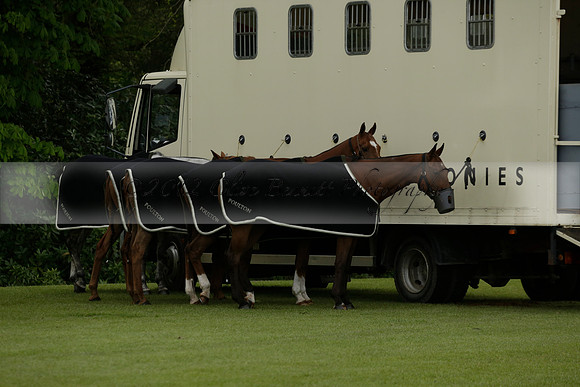 Black Eagles v Cadenza Juniors in a Dollar Cup Polo match 2013.05.13