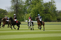Black Eagles v Cadenza Juniors in a Dollar Cup Polo match 2013.05.13