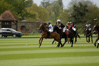Black Eagles v Cadenza Juniors in a Dollar Cup Polo match 2013.05.13