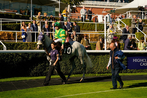 _CAB0210