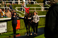Race 4 The Virgin Bet A Good Bet Handicap Stakes 2026.09.08