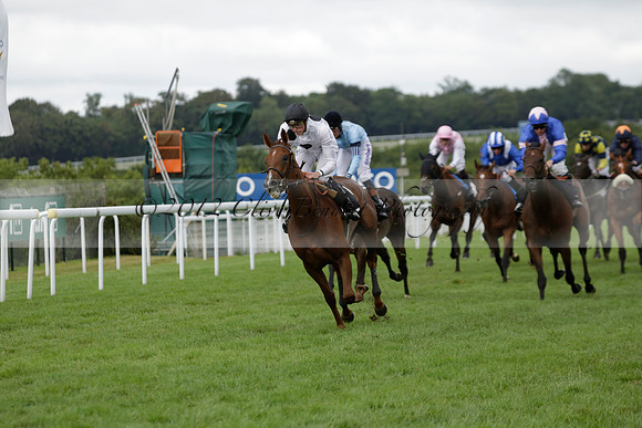 Race 6 Goodwood The British Stallion Studs Turf Club E.B.F. Fillies Stakes. 20130731. Race winner Ribbons owner Elite Racing Club