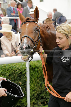 Race 6 Goodwood The British Stallion Studs Turf Club E.B.F. Fillies Stakes. 20130731. Race winner Ribbons owner Elite Racing Club