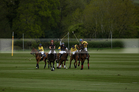Las Estrellas v Shoreline in a May 4 Goal Spring Cup Polo match 2013.05.15