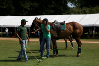 Zacara v Dubai in the Veuve Clicquot Gold Cup Polo Final Match 2013.07.21