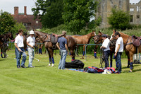 Twelve Oaks v HB Polo in a Veuve Clicquot Gold Cup Polo Match 2013.06.30