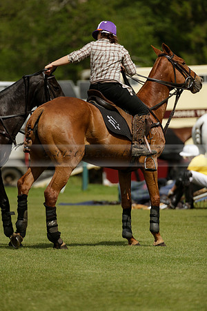 Las Estrellas v Four Quarters Blue in the final of the Jubilee Cup Polo match 2013.06.02
