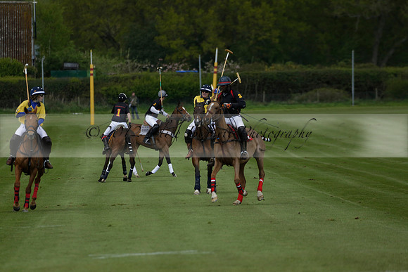 Las Estrellas v Shoreline in a May 4 Goal Spring Cup Polo match 2013.05.15