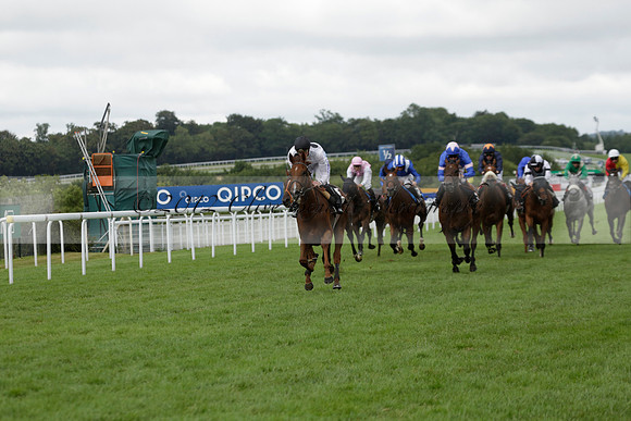 Race 6 Goodwood The British Stallion Studs Turf Club E.B.F. Fillies Stakes. 20130731. Race winner Ribbons owner Elite Racing Club