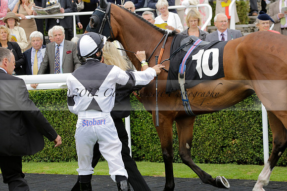 Race 6 Goodwood The British Stallion Studs Turf Club E.B.F. Fillies Stakes. 20130731. Race winner Ribbons owner Elite Racing Club