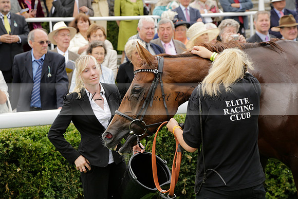 Race 6 Goodwood The British Stallion Studs Turf Club E.B.F. Fillies Stakes. 20130731. Race winner Ribbons owner Elite Racing Club
