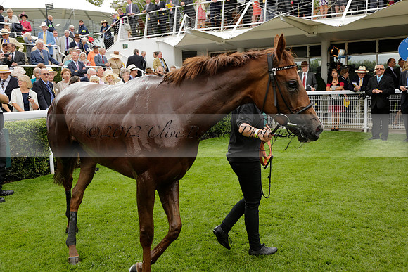 Race 6 Goodwood The British Stallion Studs Turf Club E.B.F. Fillies Stakes. 20130731. Race winner Ribbons owner Elite Racing Club