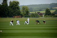 Zacara v Les Lions in a Veuve Clicquot Gold Cup Polo Match 2013.07.06
