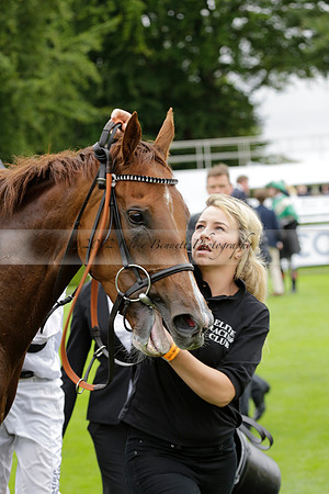 Race 6 Goodwood The British Stallion Studs Turf Club E.B.F. Fillies Stakes. 20130731. Race winner Ribbons owner Elite Racing Club