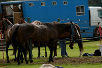 Madams Farm v Las Estrellas in the June 4 Goal Subsidiary Final Polo match 2013.06.16