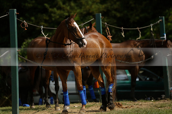 El Remanso v Sumaya in a Veuve Clicquot Gold Cup Polo Match 2013.07.13