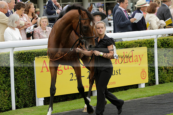 Race 6 Goodwood The British Stallion Studs Turf Club E.B.F. Fillies Stakes. 20130731. Race winner Ribbons owner Elite Racing Club