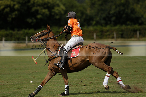 Cowdray Vikings v Enigma in a Bloom British Ladies Open Championship Polo match 2013.07.17