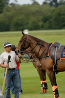 Enigma v Thai Polo in a Veuve Clicquot Gold Cup Polo Match 2013.06.25