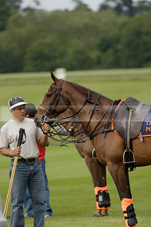 Enigma v Thai Polo in a Veuve Clicquot Gold Cup Polo Match 2013.06.25