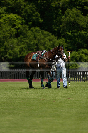 Black Bears v Salkeld in a Cartier Queens Cup polo match 2013.06.05