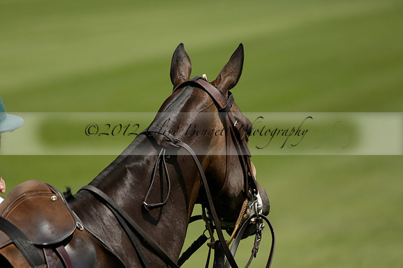 UAE Polo v El Remanso in a Veuve Clicquot Gold Cup Polo Match 2013.07.05