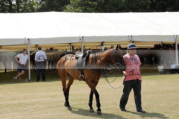 Zacara v Talandracas in a Veuve Clicquot Gold Cup Polo Match 2013.07.18