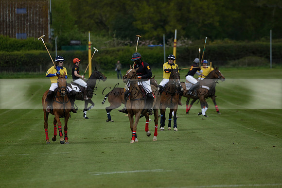 Las Estrellas v Shoreline in a May 4 Goal Spring Cup Polo match 2013.05.15